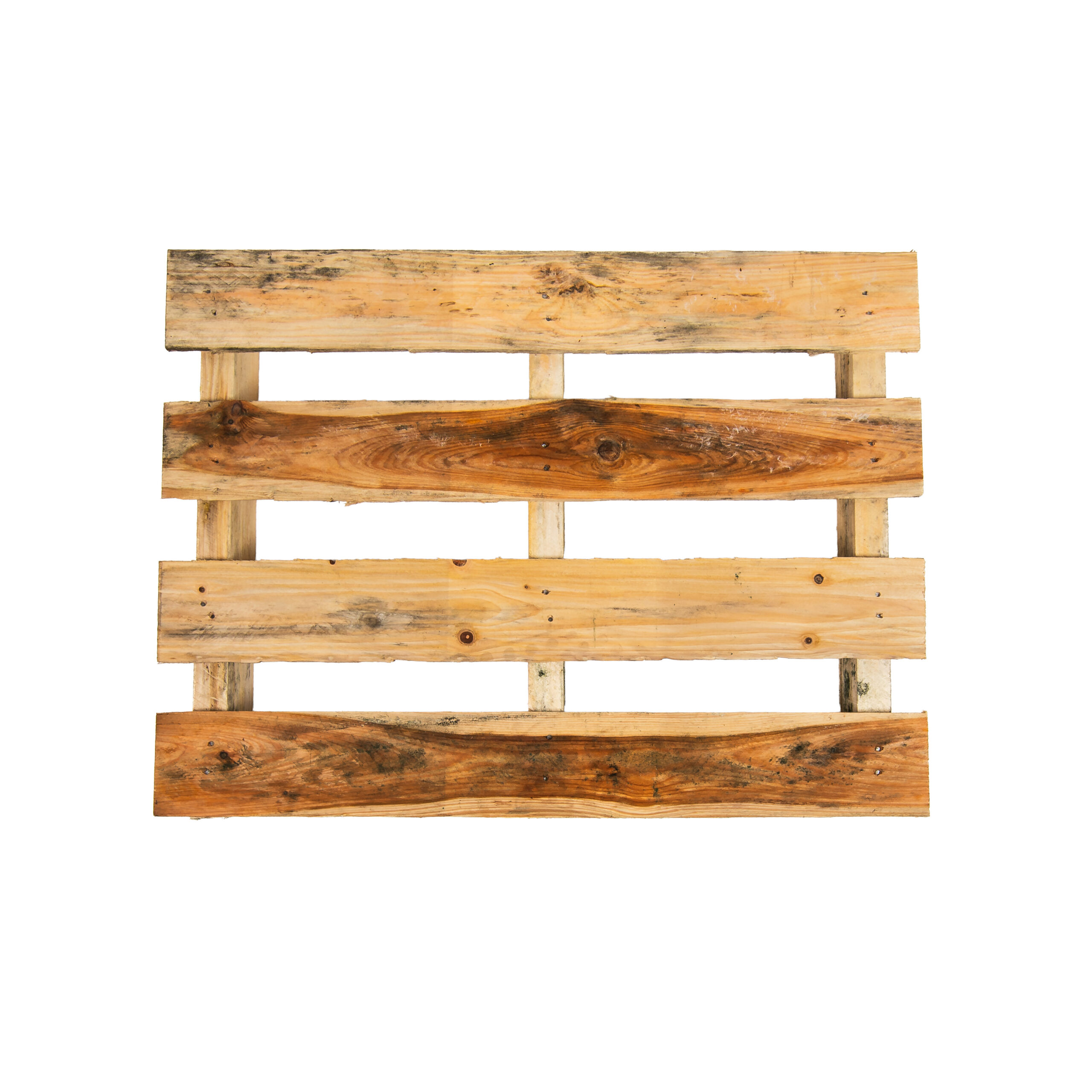 wiebesietze 20251126 115305 20251126 rewood 225 bewerkt