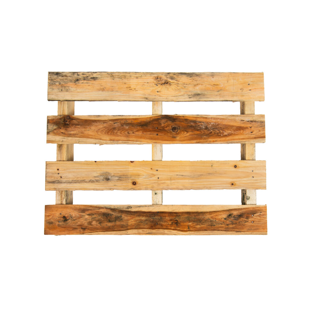 wiebesietze 20251126 115305 20251126 rewood 225 bewerkt