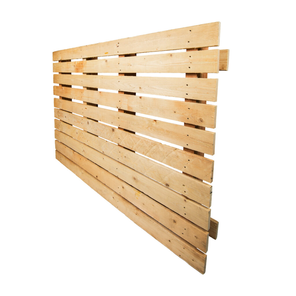 wiebesietze 20251126 121145 wsp 2683 bewerkt