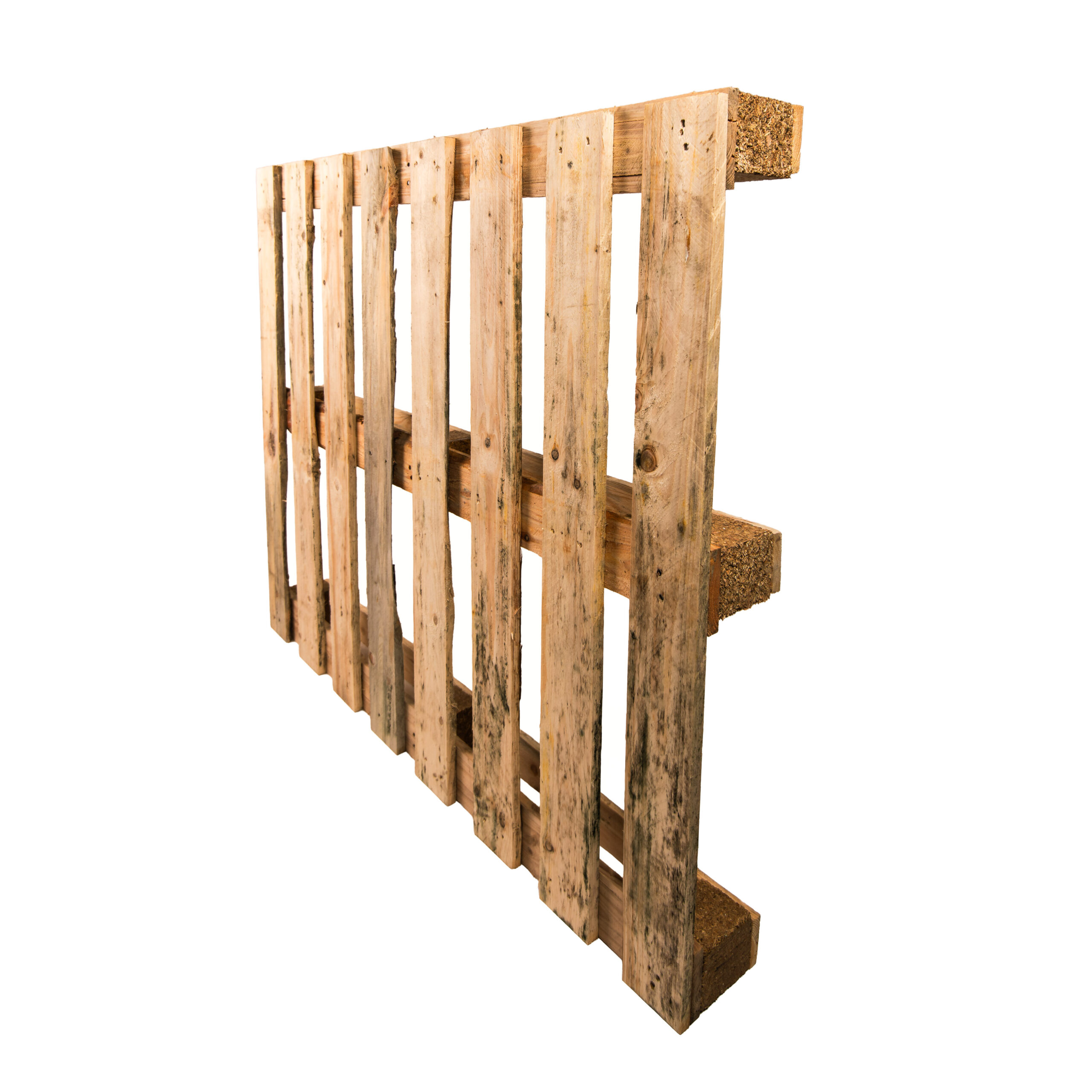 wiebesietze 20251126 123039 20251126 rewood 358 bewerkt