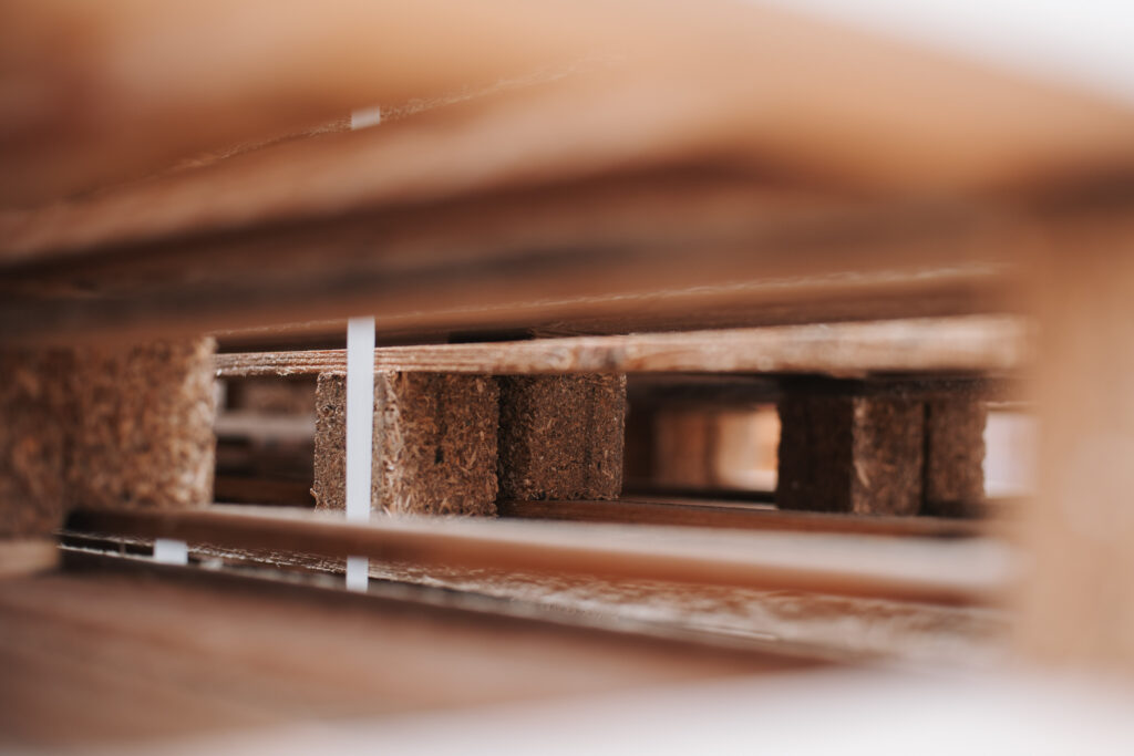 wiebesietze 20251126 132446 wsp 2802